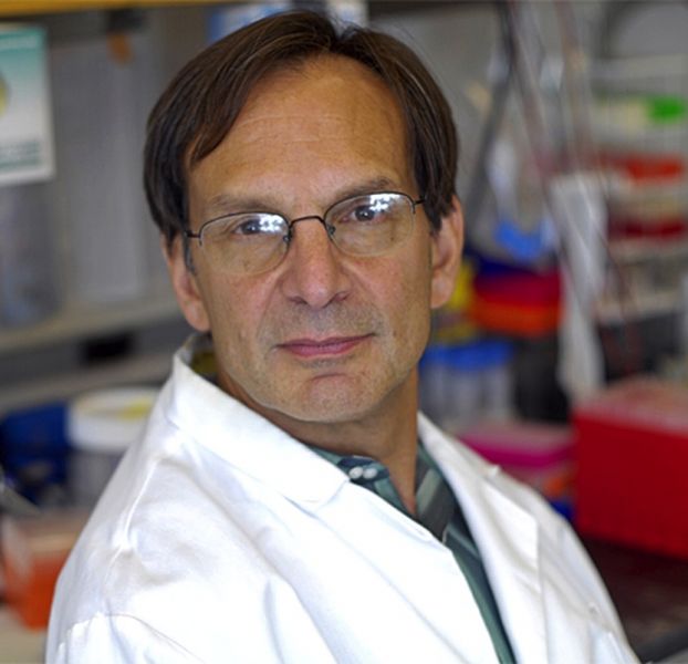Bruce M. Spiegelman